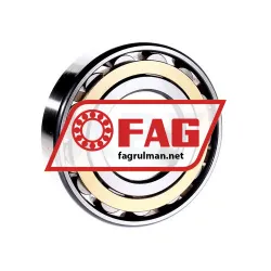 FAG N313-E-M1 rulman resim 3