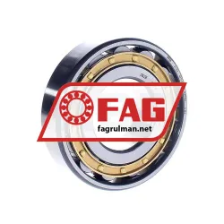FAG N311-E-M1