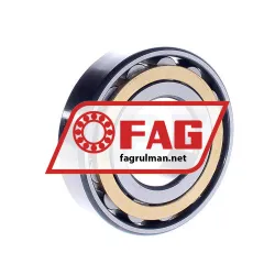 FAG N311-E-M1 rulman resim 3