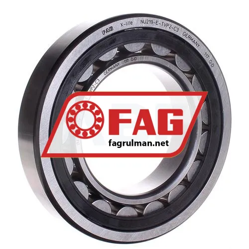 FAG NU219E-TVP2-C3