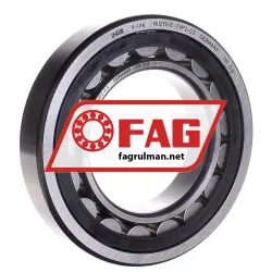 FAG NU219E-TVP2-C3