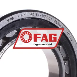 FAG NU219E-TVP2-C3 rulman resim 2