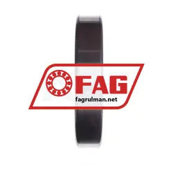 FAG NU219E-TVP2-C3 rulman resim 4