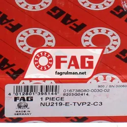 FAG NU219E-TVP2-C3 rulman resim 6