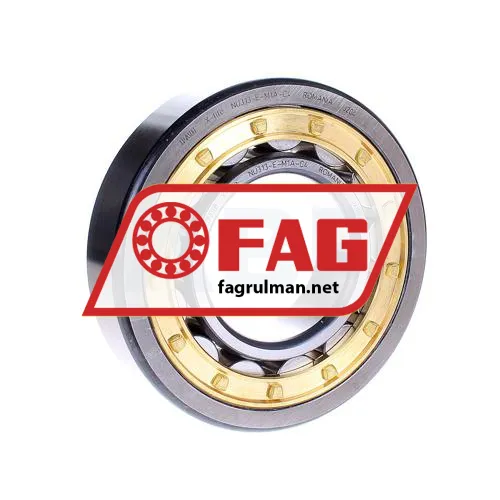 FAG NU313-E-M1A-C4