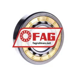 FAG NU313-E-M1A-C4
