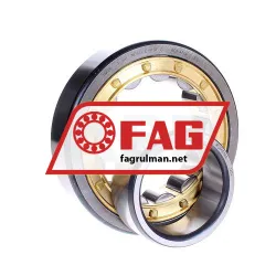 FAG NU313-E-M1A-C4 rulman resim 2