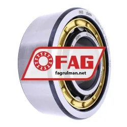 FAG NJ2309-E-M1-C4