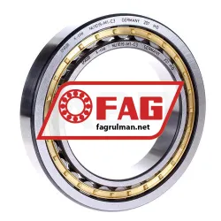 FAG NU1019-M1-C3