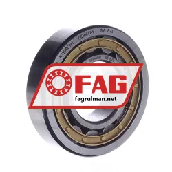 FAG NJ309-E-M1