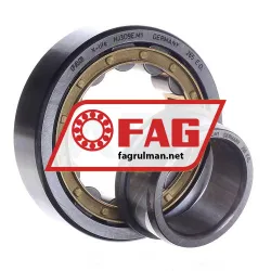 FAG NJ309-E-M1 rulman resim 4