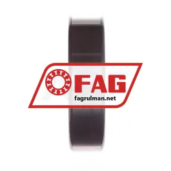 FAG NJ309-E-M1 rulman resim 5
