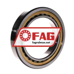 FAG NU1021M1A-C4 rulman resim 2