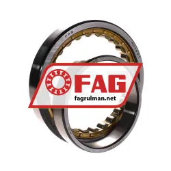 FAG NU1021M1A-C4 rulman resim 3