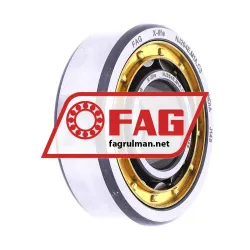 FAG NJ204E-M1A-C3