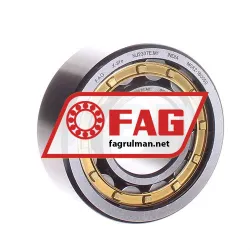 FAG NJ2307-E-M1