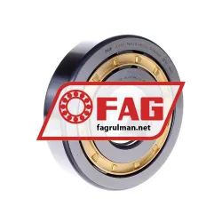 FAG NUP410-M1-C3