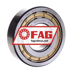 FAG NUP309E-M1-C3