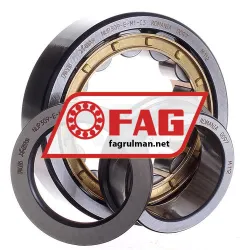 FAG NUP309E-M1-C3 rulman resim 2