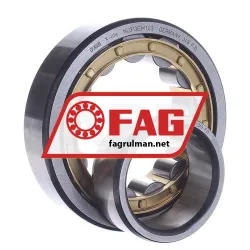 FAG NU313-E-M1-C3