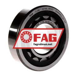 FAG NU310-E-TVP2-C3