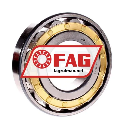 FAG N320-E-M1