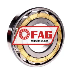 FAG N320-E-M1