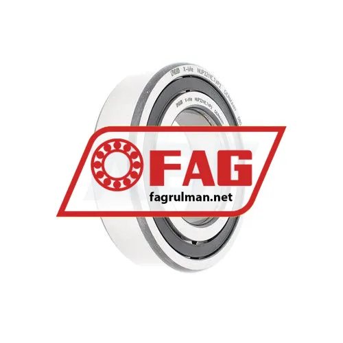 FAG NUP2211E-TVP2
