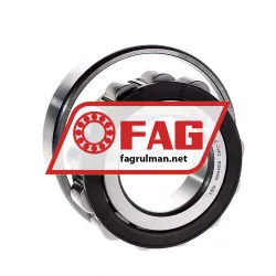 FAG N313E-TVP2 rulman resim 2