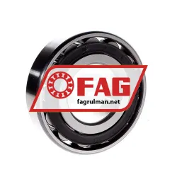 FAG N313E-TVP2 rulman resim 3