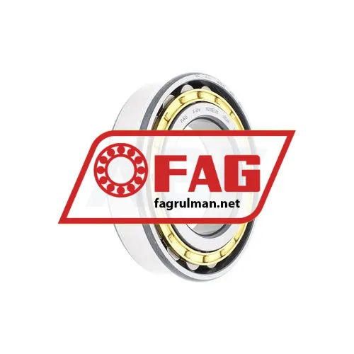 FAG N211E-M1