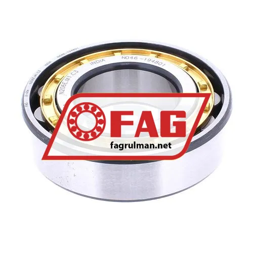 FAG N206E-M1-C3