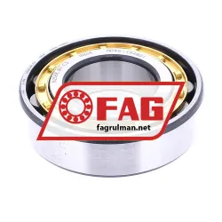 FAG N206E-M1-C3