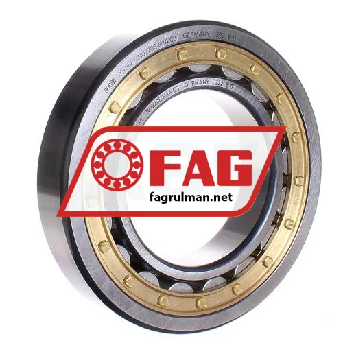 FAG NU220E-M1A-C3