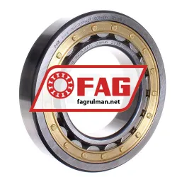 FAG NU220E-M1A-C3