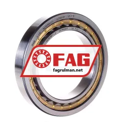 FAG NU1019M1-C3