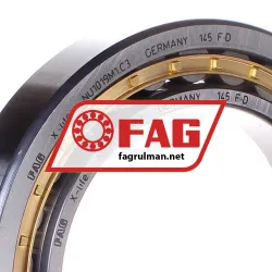 FAG NU1019M1-C3 rulman resim 2