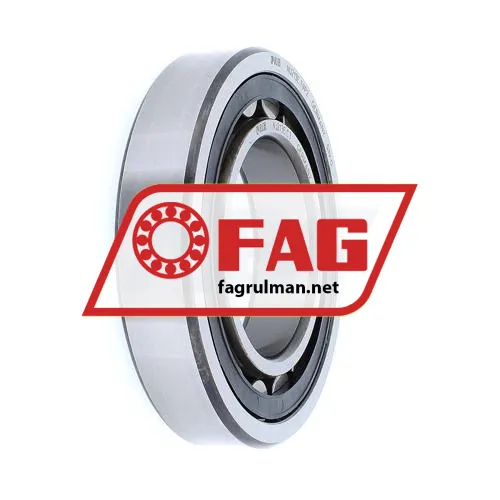 FAG NJ213E-TVP2-C3