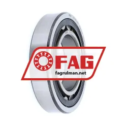 FAG NJ213E-TVP2-C3