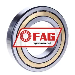 FAG NJ213E-M1-C3 rulman resim 2