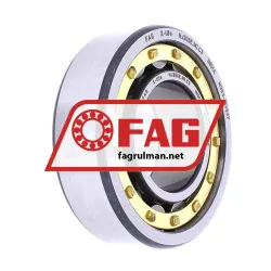 FAG NJ205E-M1-C3
