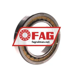 FAG NJ1014M1A