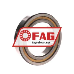 FAG NJ1014M1A rulman resim 2
