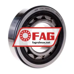 FAG NU312-E-TVP2-C3