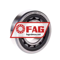FAG NJ206E-TVP2-C3