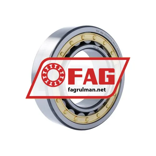 FAG NU2220-E-XL-M1A-C4