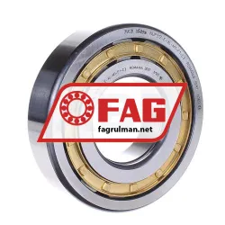 FAG NUP312-E-XL-M1-F1-C3