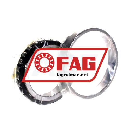 FAG N1016-D-K-TVP-SP-T50EH