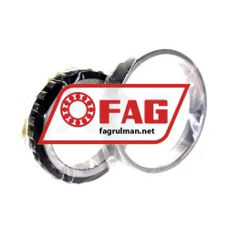 FAG N1016-D-K-TVP-SP-T50EH