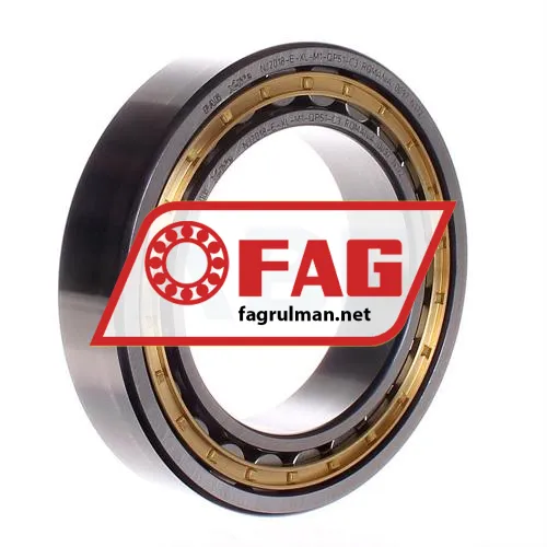 FAG NJ2018-E-M1-QP51-C3